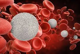 BREAKING: Two New Studies Raise Alarm Over Potential COVID-19 “Vaccine” Contamination of the Blood Supply [Article From 21/8/26]